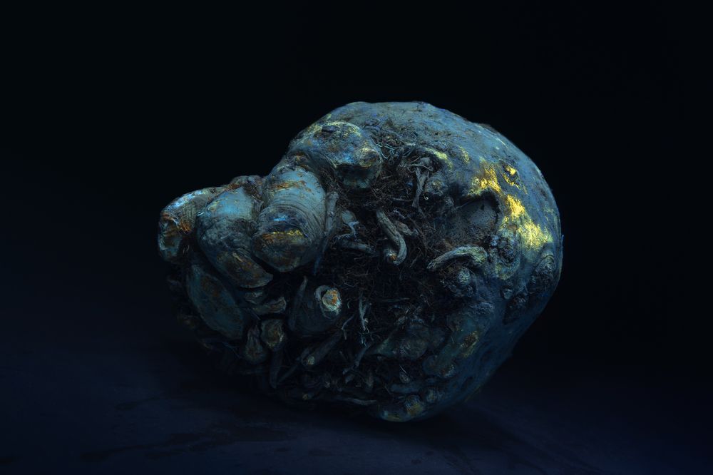 Photograph by Надежда Родионова