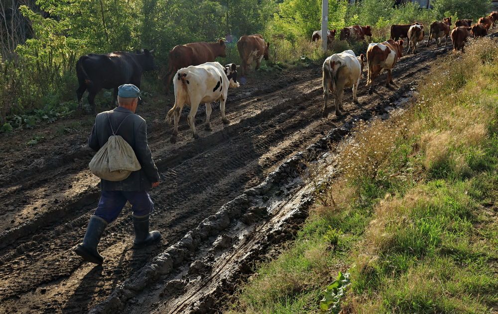 Photograph by Владимир Сафронов