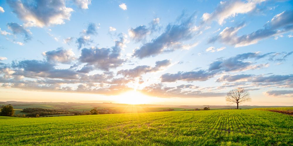 Фотография автора Maichel de Paula