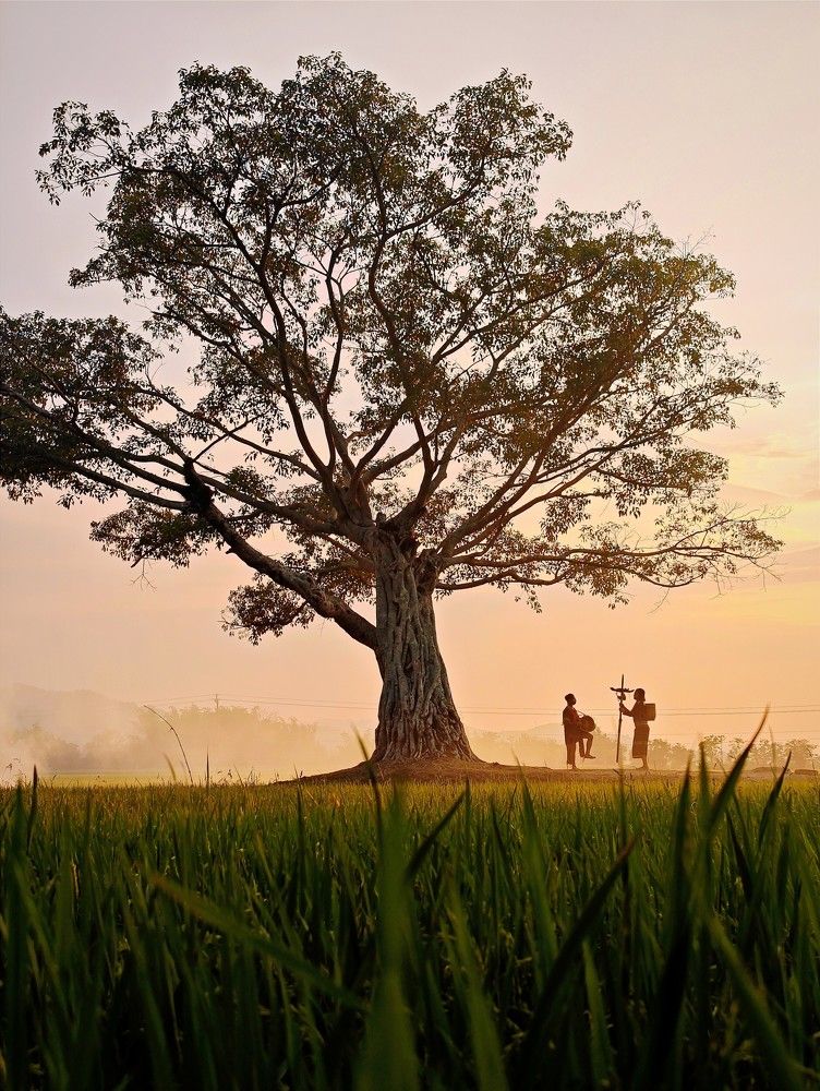 Photograph by Tran Phuong