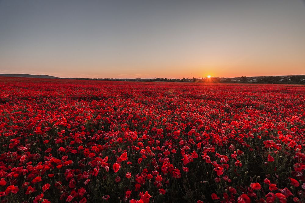 Photograph by Филипп Бабенко