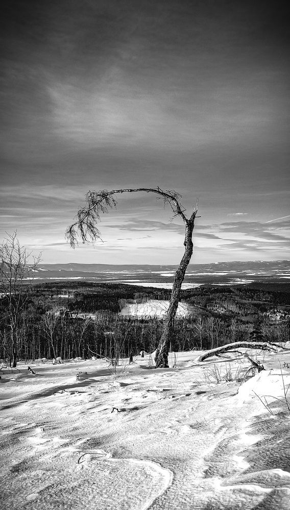 Photograph by Андрей Фадеев