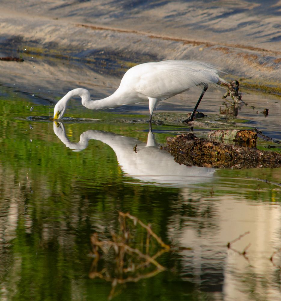 Фотография автора Gabriel Castillo