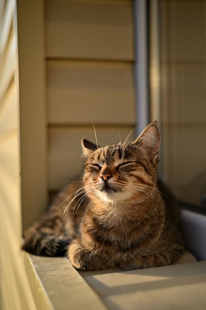 Фотография автора Дмитрий Referee