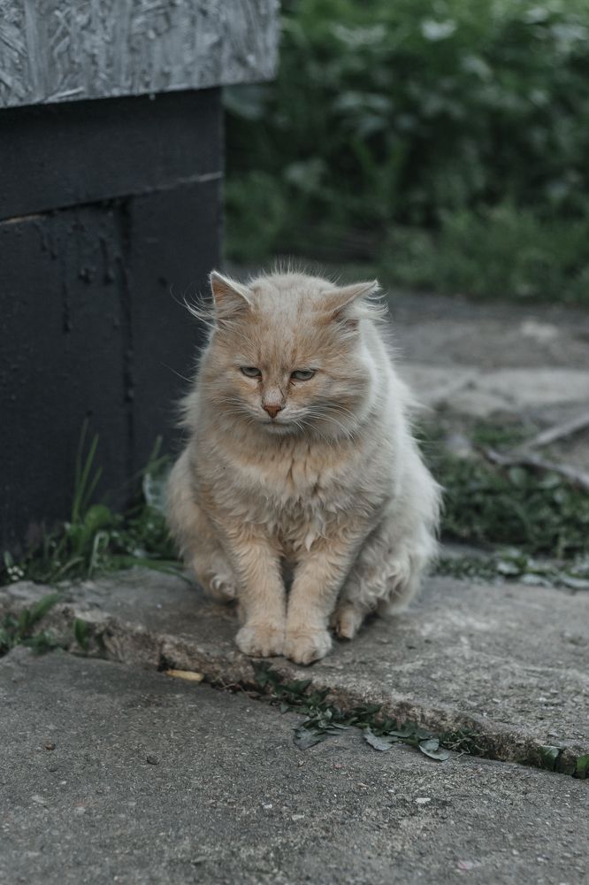 Photograph by Anna Dubinina