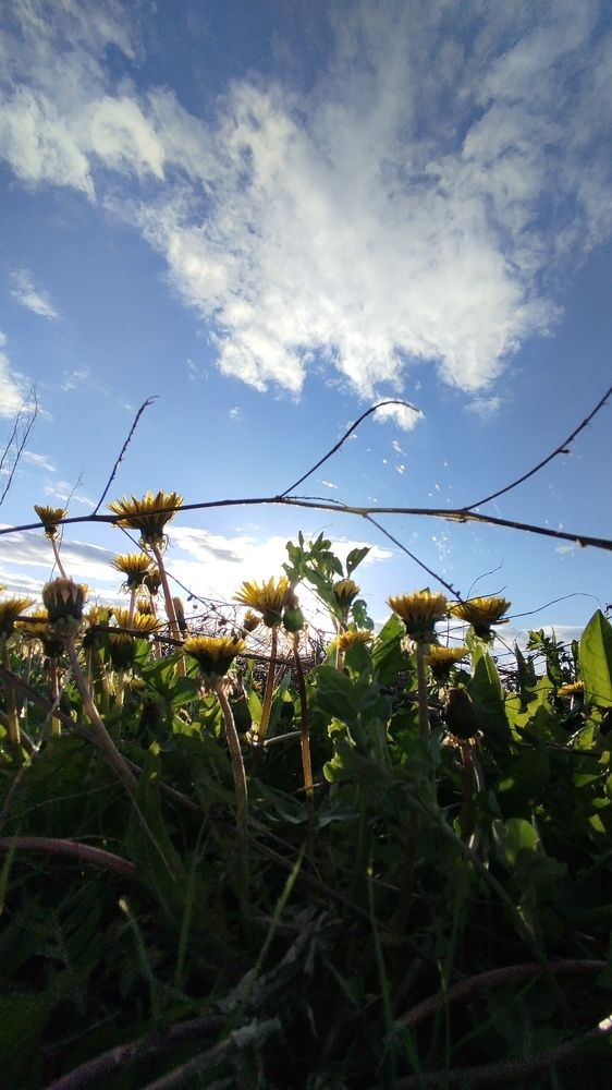 Photograph by Юлия Кузнецова