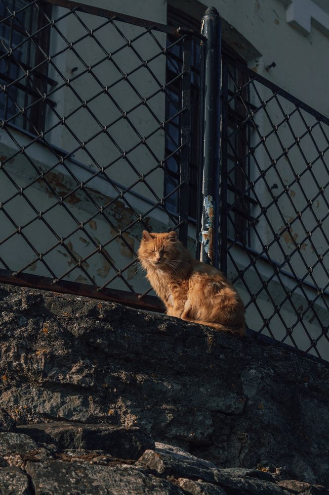 Photograph by Anna Dubinina