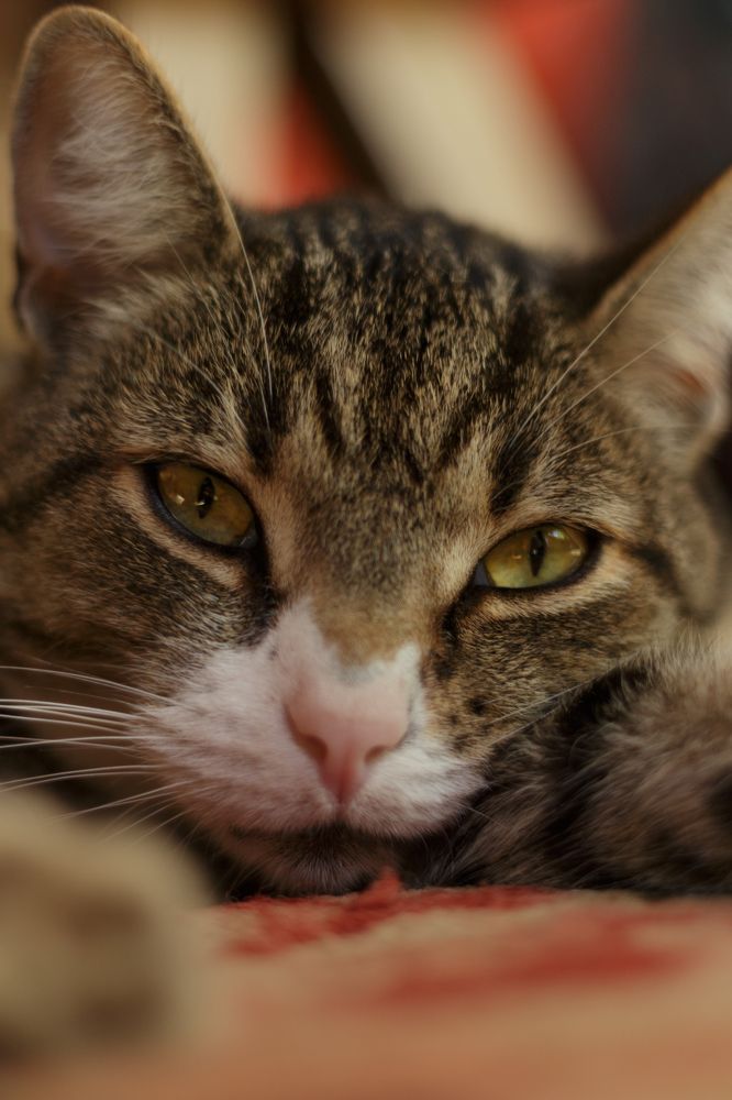 Photograph by Anna Dubinina