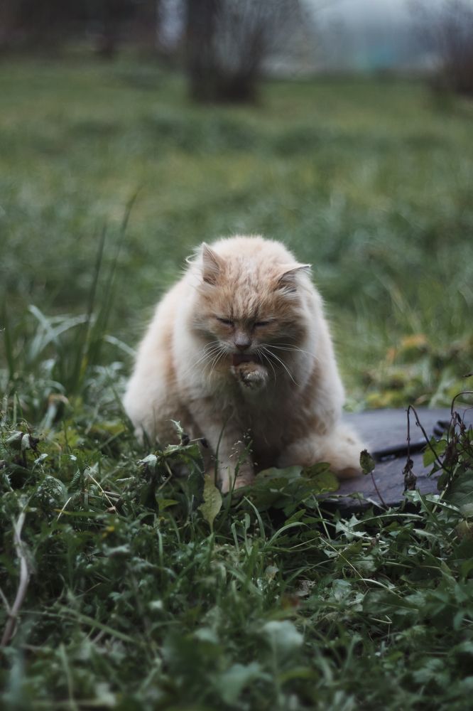 Photograph by Anna Dubinina