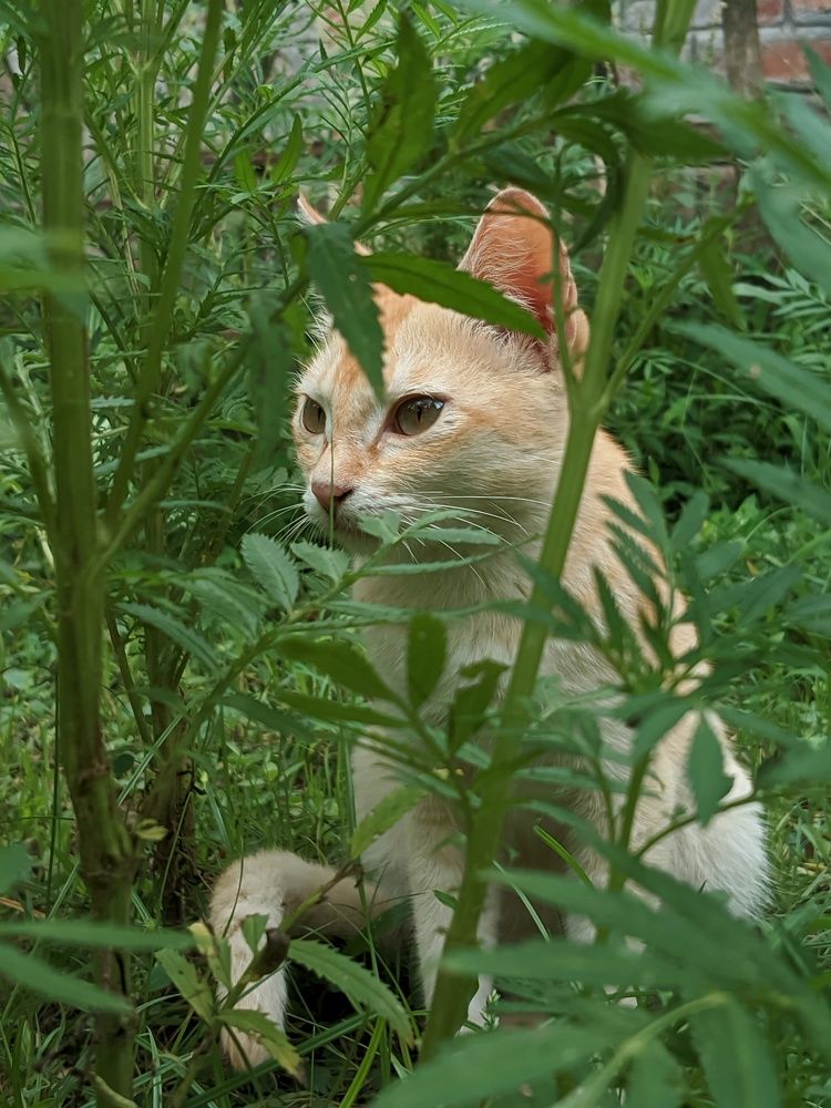 Photograph by Kunal Dubey