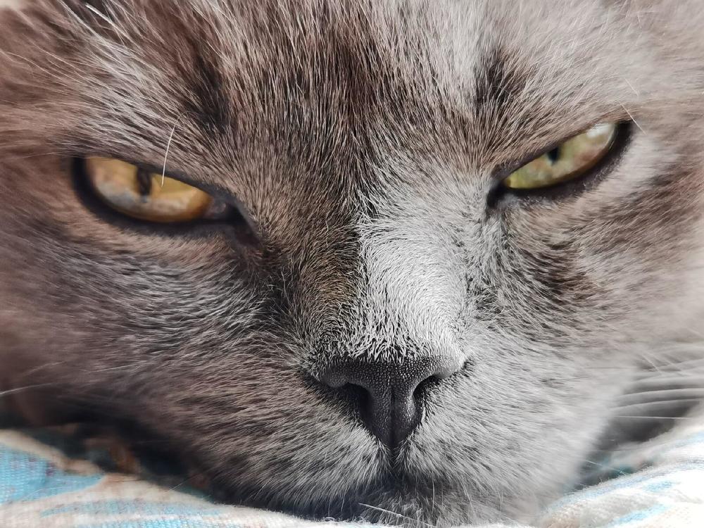 Photograph by Надежда Горчакова