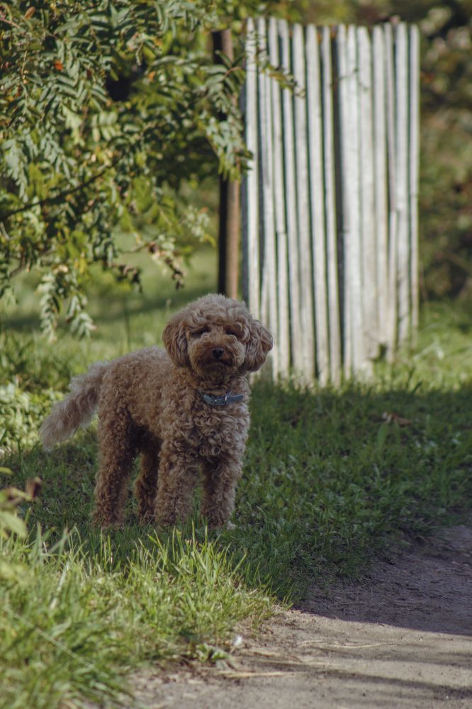 Photograph by Anna Dubinina