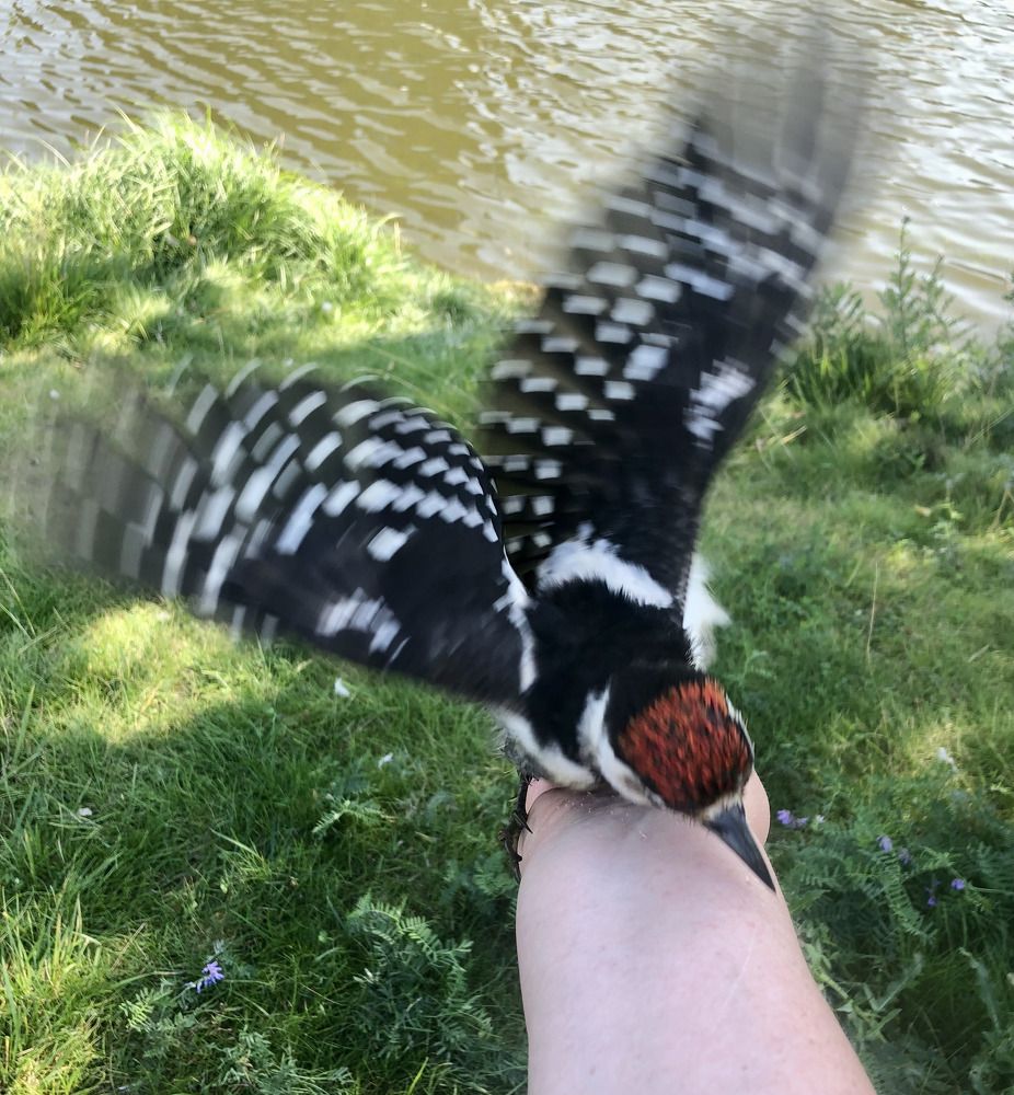 Photograph by Галина Пименова