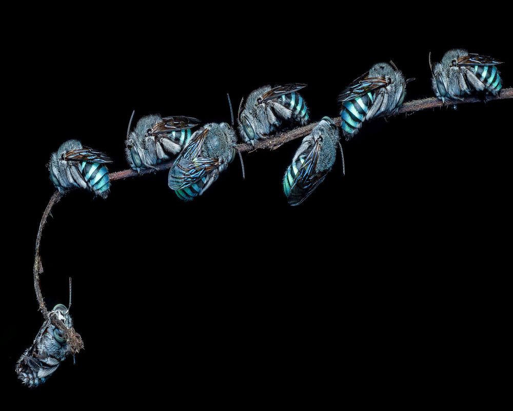 Photograph by Manjunath S