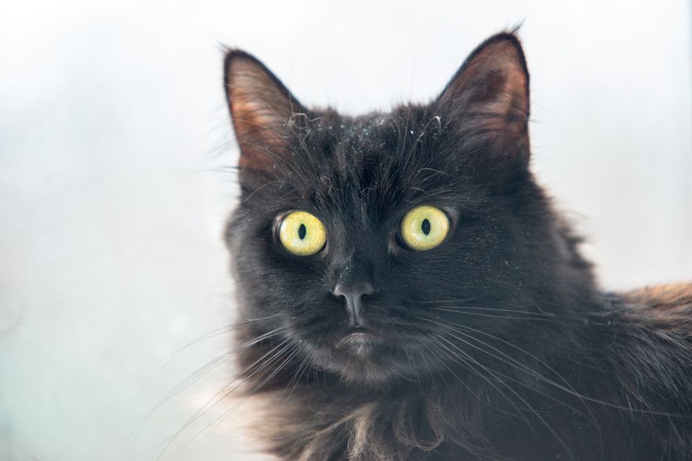 Photograph by Иван Овчинников