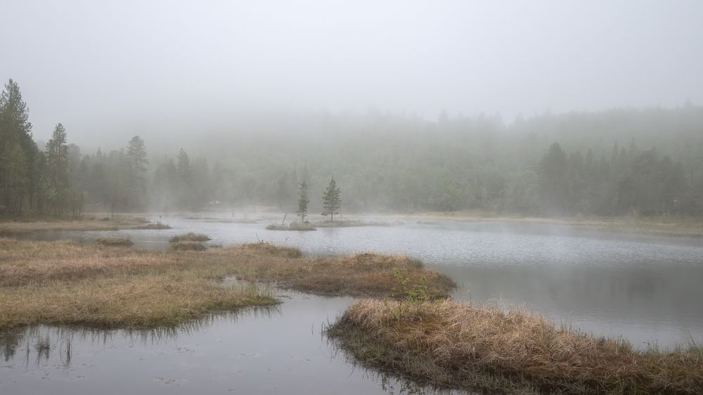 Photograph by Константин Коряков