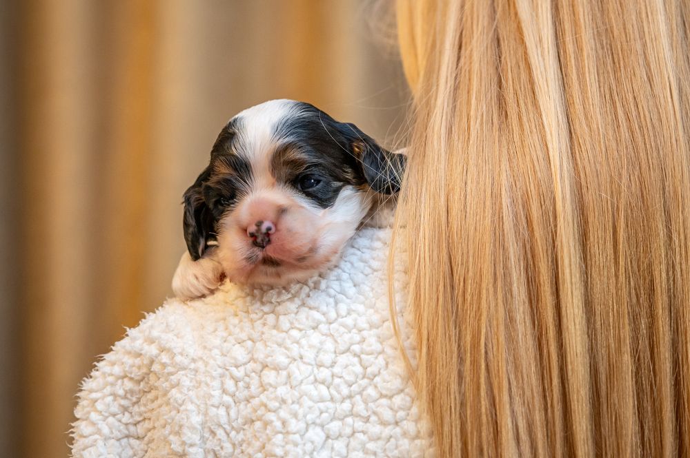 Photograph by Борис Недосеков