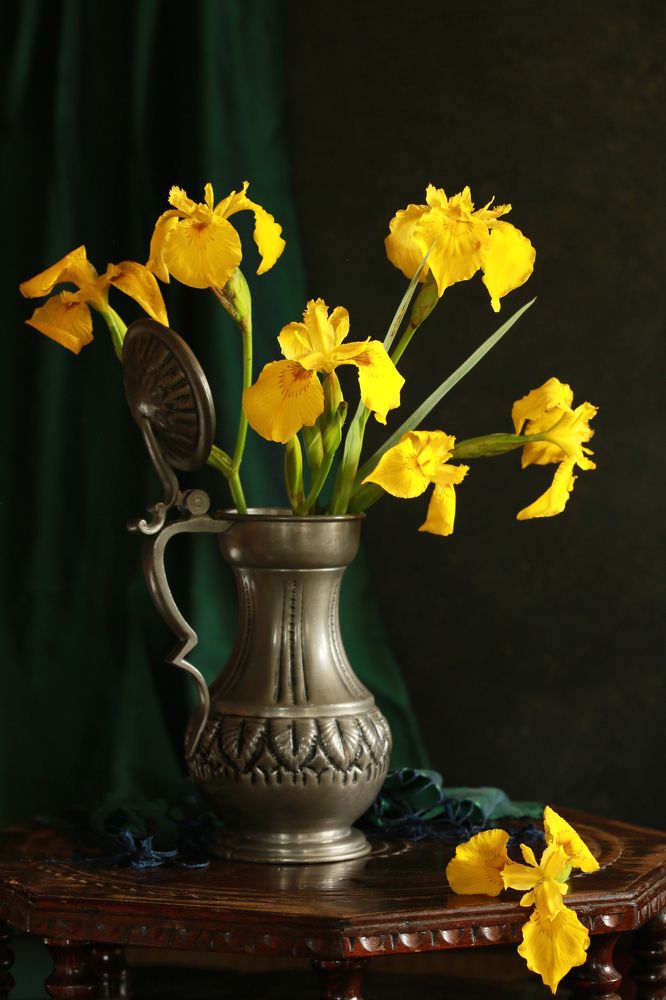 Photograph by Алена Гершфельд