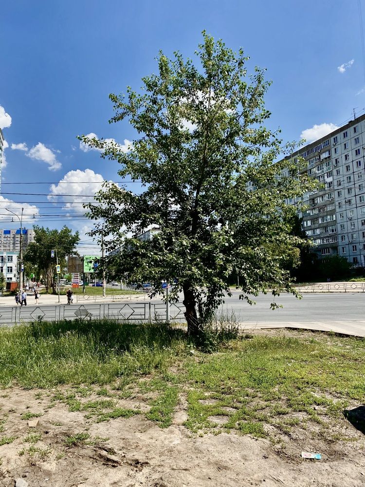 Фотография автора Gala Timaeva