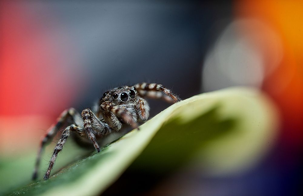 Photograph by Артём Малышев