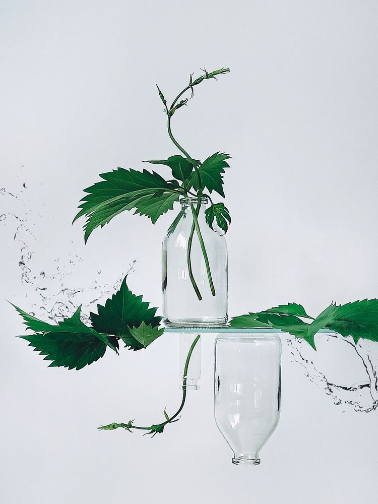 Фотография автора Татьяна Шахова