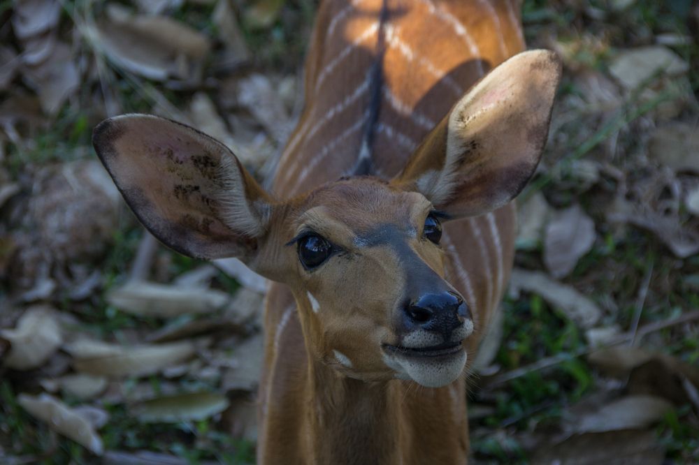 Photograph by Иван Овчинников