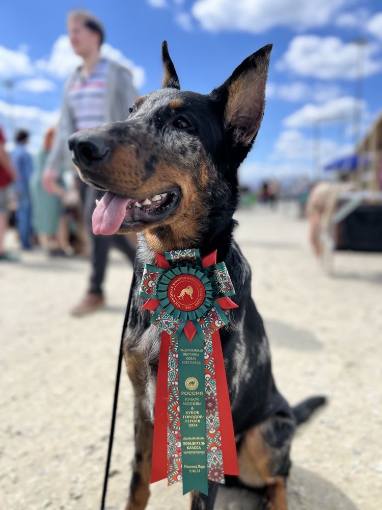 Фотография автора Андрей