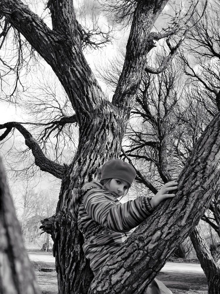 Photograph by Оксана Артимович