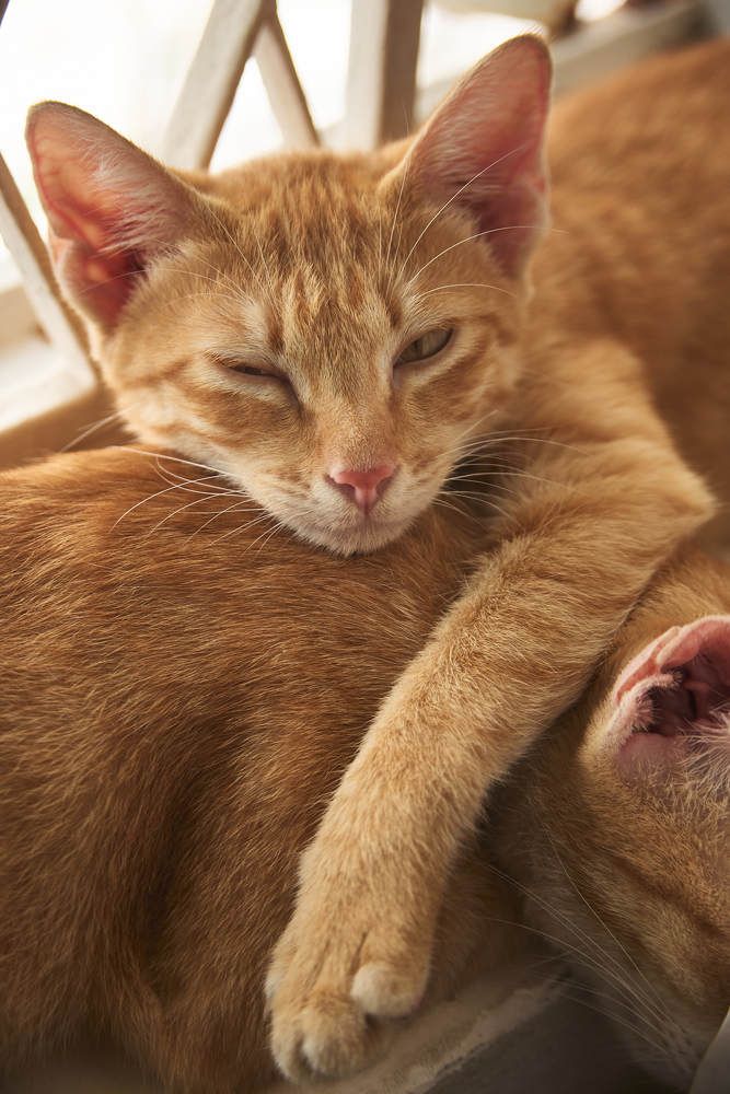 Photograph by Tran Duy Nam