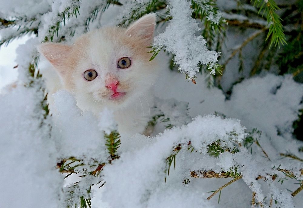 Photograph by Виктор Решетников