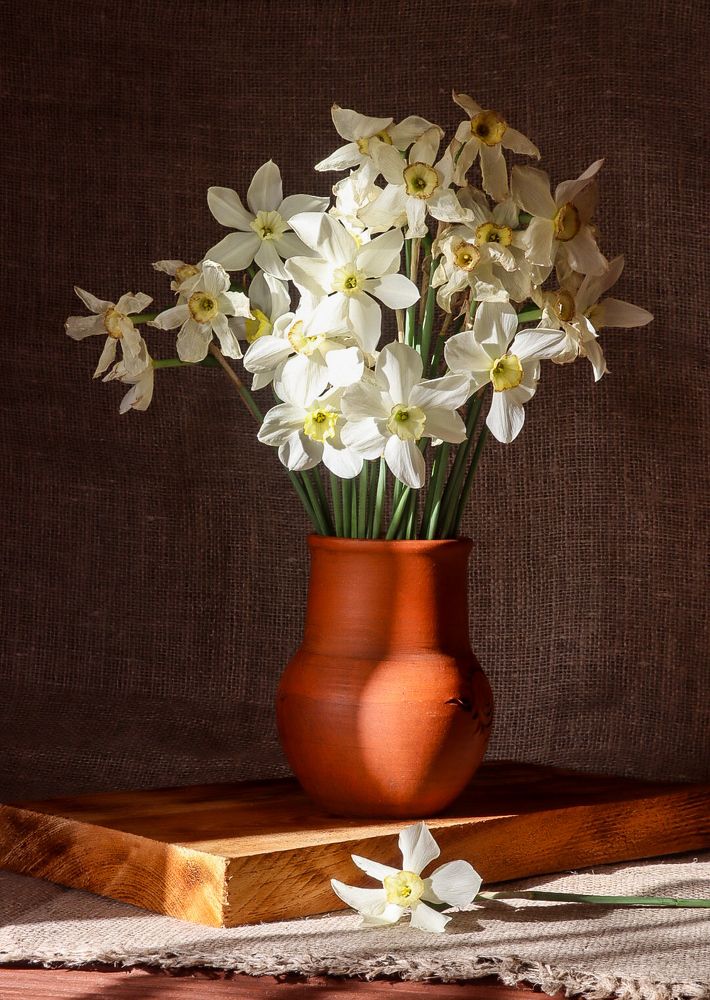 Photograph by Елена Рудкевич