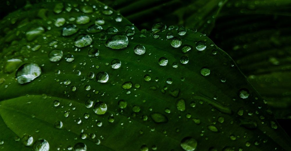 Фотография автора Валерия