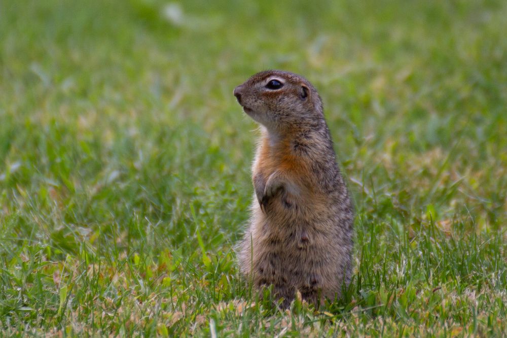 Photograph by Василиса Филимонова