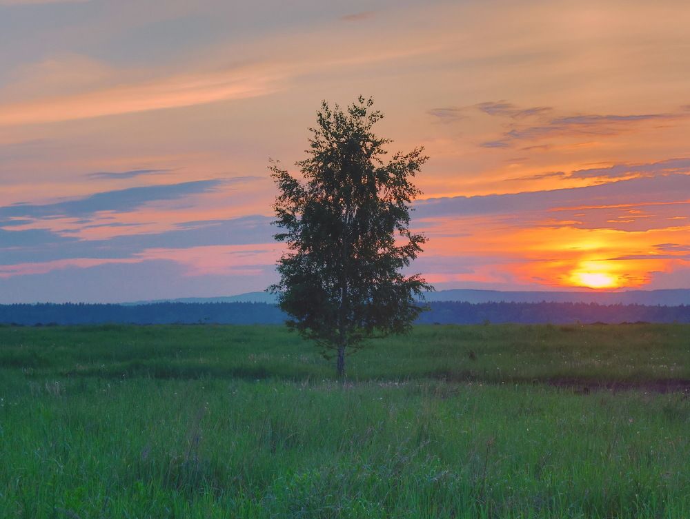 Photograph by Серёга Ануфриев