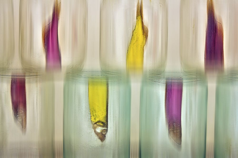 Photograph by Аркадова Елена