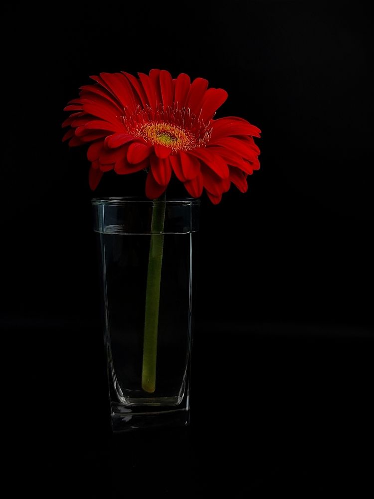 Photograph by Лолита Богачева