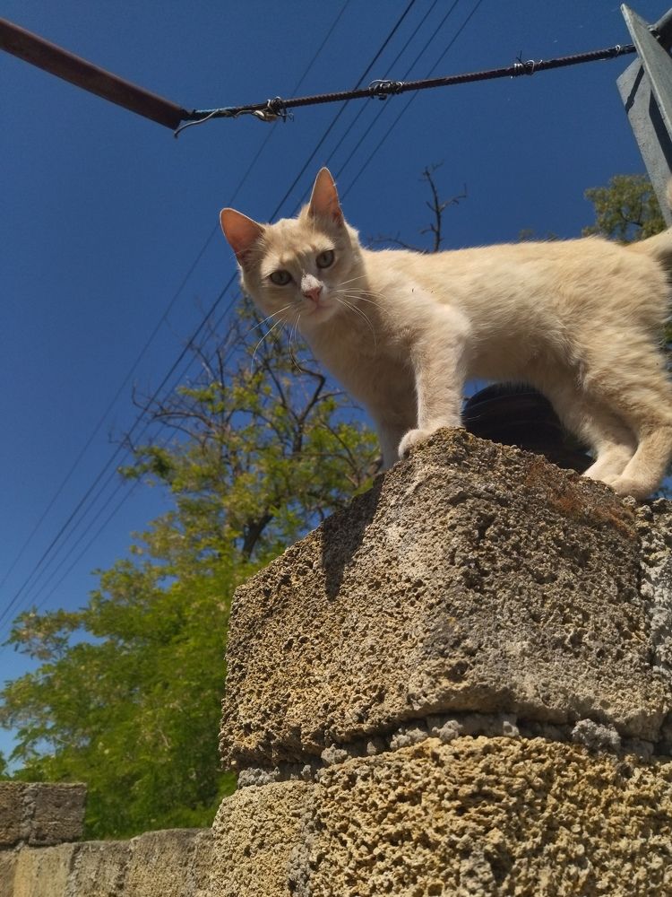 Photograph by Анна Степанова