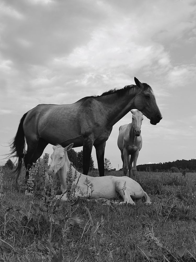 Photograph by Лолита Богачева