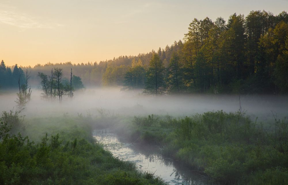 Photograph by Алексей Назаров