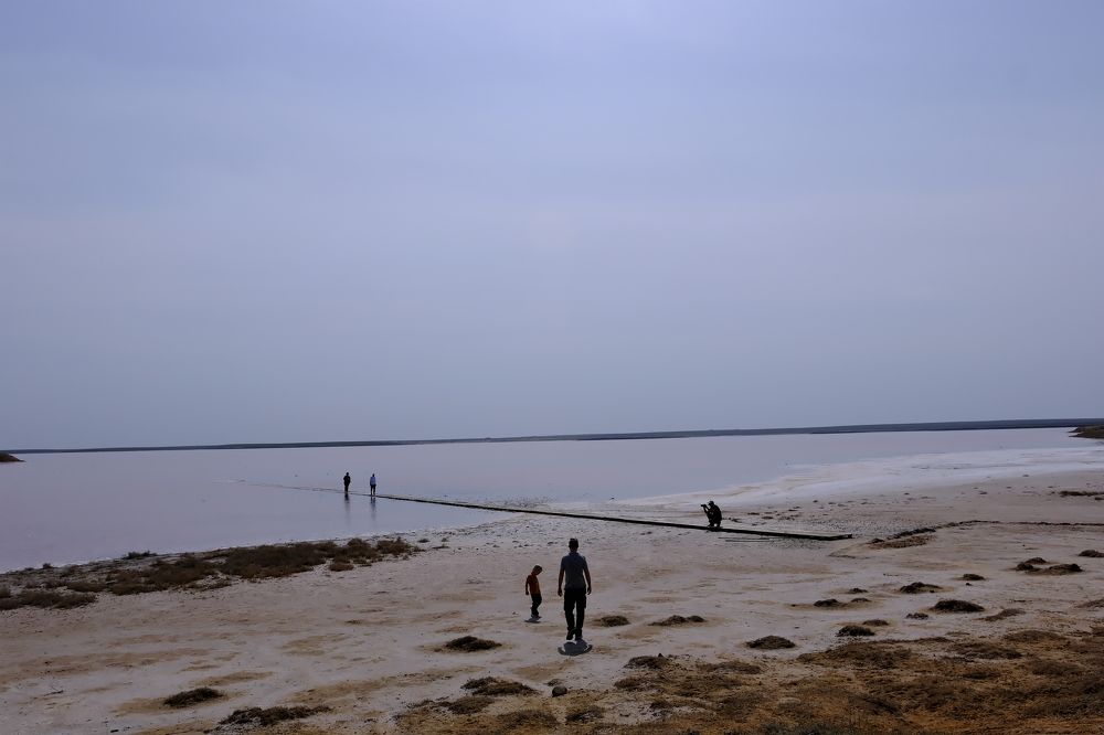 Photograph by Дарья Ефанова