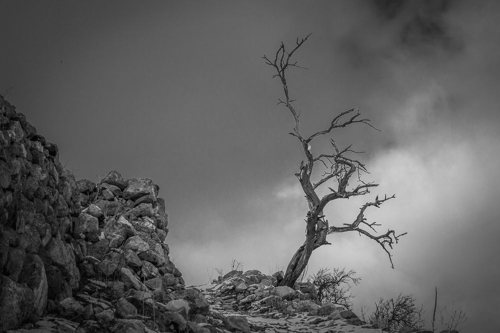 Photograph by Игорь Кара-Ушанов