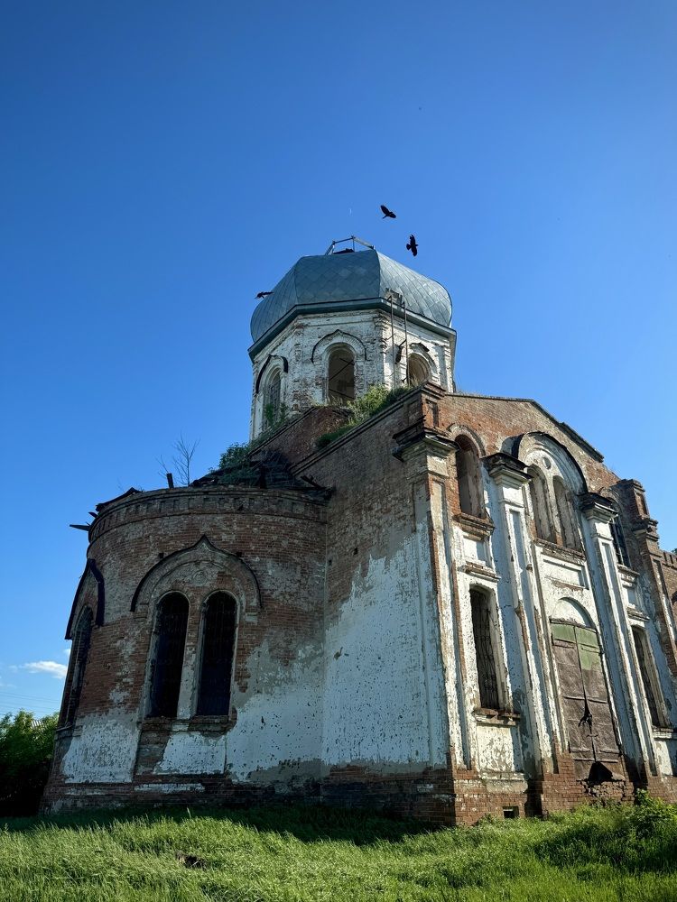 Фотография автора Евгения Елисеева