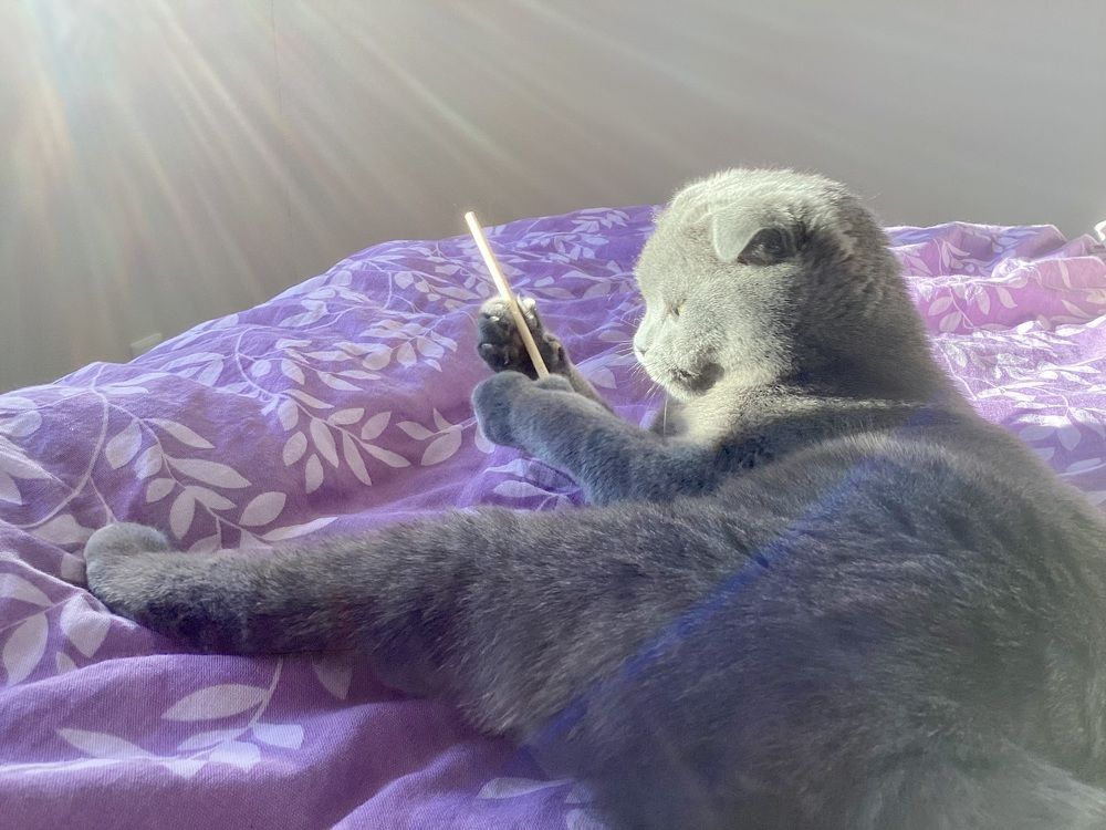 Photograph by Алина Соколова