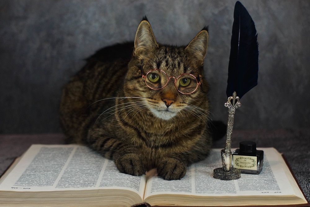 Photograph by Наталья Екимова