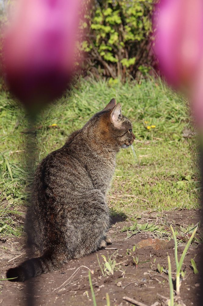 Фотография автора Людмила Иванова
