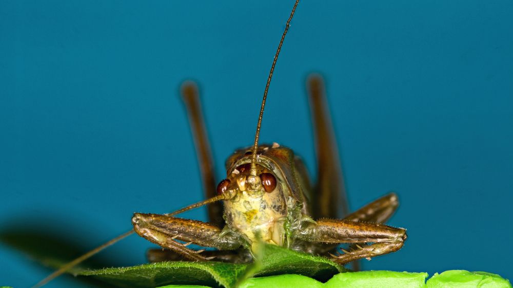 Photograph by Андрей Кротов