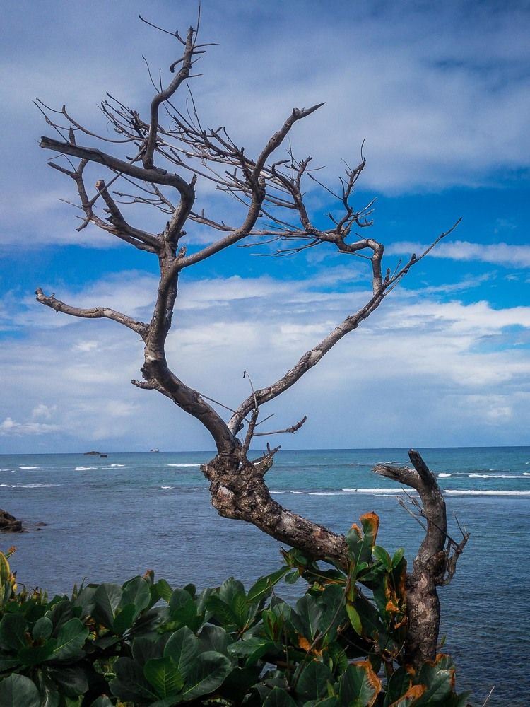 Photograph by Игорь Кара-Ушанов