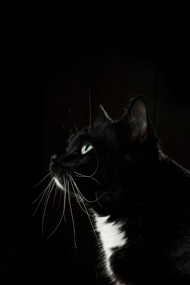 Photograph by Максим Дорошенко