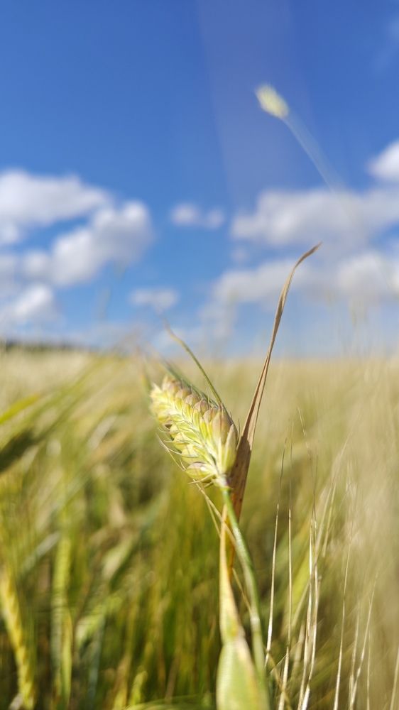 Photograph by Иван Егупов