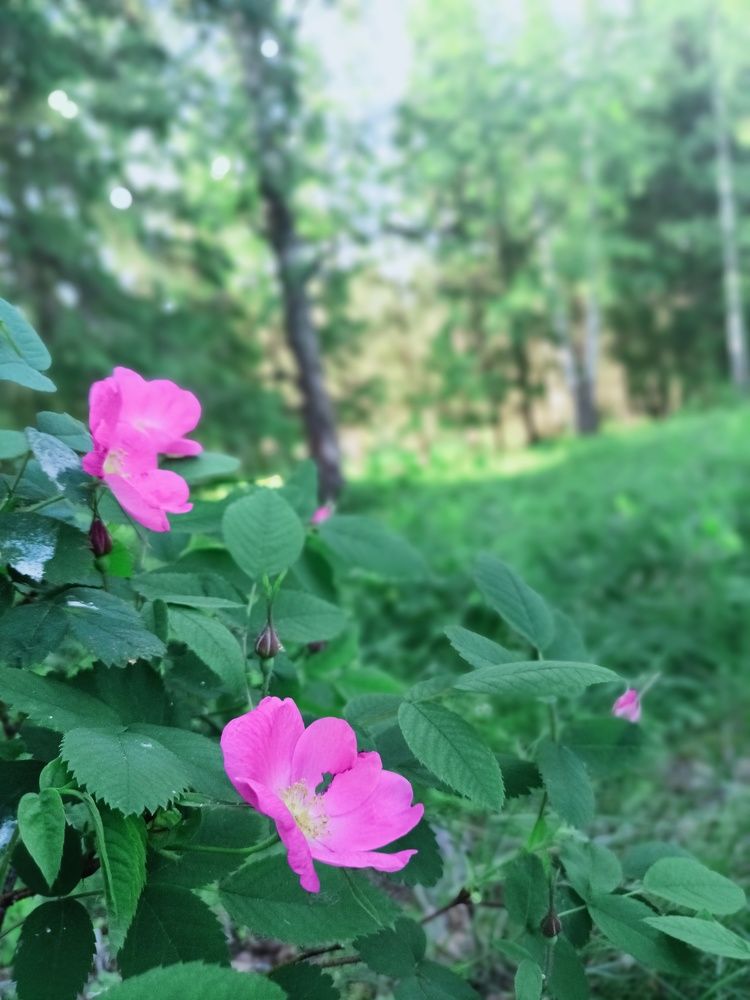 Photograph by Елена